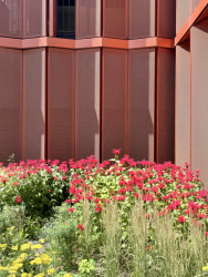 Architektonické studio JEMS Architekci realizovalo v areálu Varšavských pivovarů bytový dům, který nabízí byty od garsoniér až po dvoupatrové penthousy