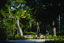 mmcité svými produkty přispělo k proměně rozsáhlého městského parku ve čtvrti Városliget v Budapešti