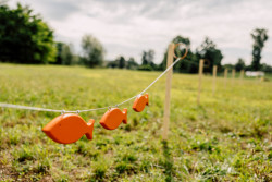Výstava přibližuje plánovanou proměnu Trojské kotliny a Císařského ostrova
