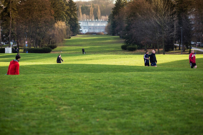 Ellement, Revitalizace Gahurova prospektu – foto