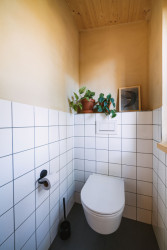 Omítky vypadají krásně v koupelnách - zde ale pozor, nejsou vhodné pro přímý styk s vodou - za umyvadla, vany, do sprchových koutů je vhodná stěrka.