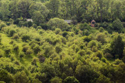 Tři domky v CHKO Šumava od Sokoban studio