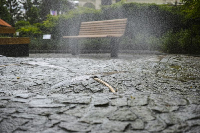 Alexandra Koláčková, Pochozí fontána s rejnoky, ZOO Zlín-Lešná - foto