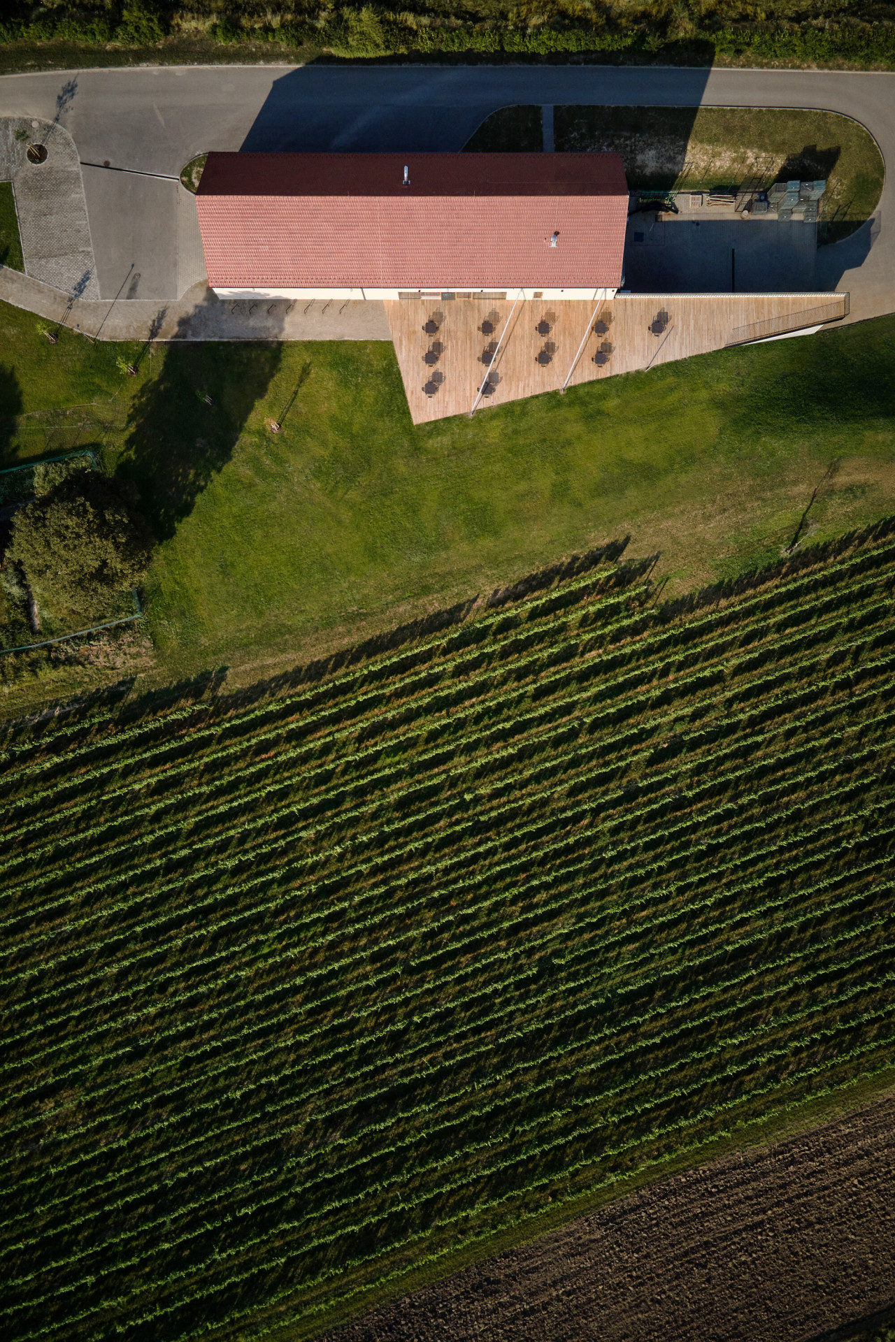 Nový wine bar Reisten v Pavlově od studia ORA