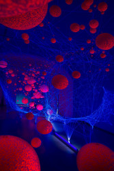 festival světla Signal, ukázka z programu: NINA ŠULIN – INSTALACE