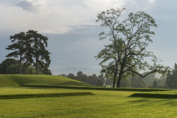 Martin Rein-Cano, Lorsch - foto