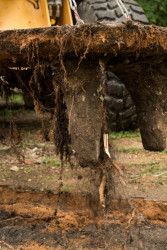 0,5 Studio, „Ztracený nábytek “ pro Rohanské nábřeží – foto