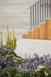 Revitalizace parku a náměstí Krakov v Bohnicích, Rusina Frei architekti