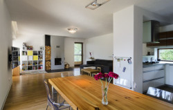 Interiér domu ve Velkých Losenicí, Foto