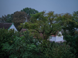 Dům leží v rozlehlé zahradě, která dříve patřila tamnímu zámku. (Dům Oskar, Jan Žaloudek)