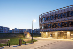 Má technickou strukturu a přitom „medovou“ vláčnost. Od toho také plyne její název.