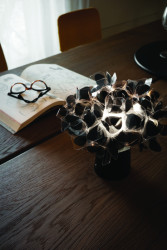 Clizia Mama non Mama v černém provedení od Adriana Rachela