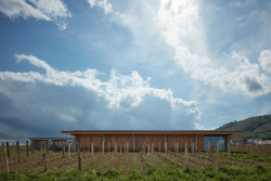 Vinařství Přátelé Pavlova od Ateliéru Štěpán