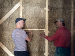 Dům s opalovanou fasádou, Divoko