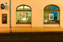 Výstava #KafePivoVýlohy, Anina Menger v Mikyně