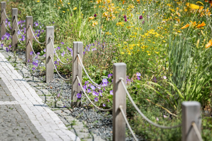 Šmídová Landscape Architects, Extenzivní trvalkový záhon v Italské ulici - foto