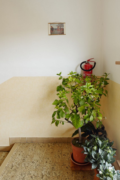 henkai architekti, Byt pro svobodného mládence, společné domovní prostory – foto