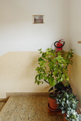 henkai architekti, Byt pro svobodného mládence, společné domovní prostory – foto