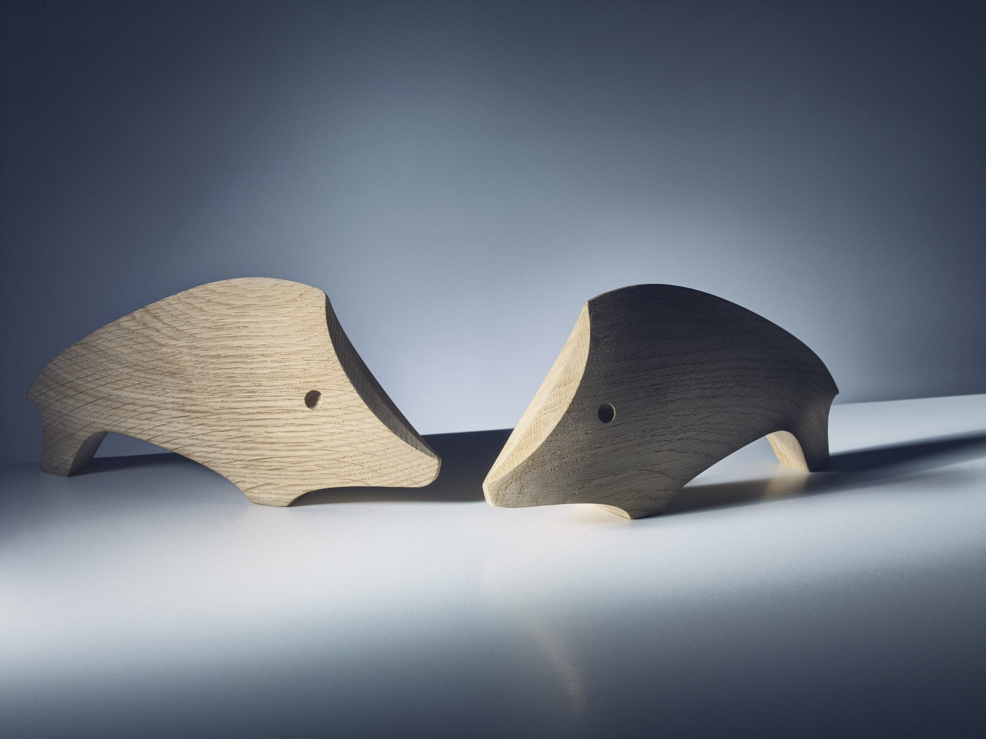 Program JAVORINA PRO je určen profesionálům z oblasti architektury, developmentu a interiérového designu