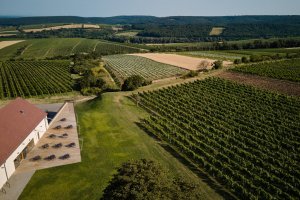 Nový wine bar Reisten v Pavlově od studia ORA