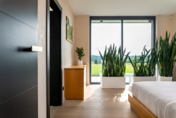 Rodinný dům s CLT panely v Ostravě od architekta Aleše Makového