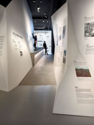 Muzeum horolezectví v Turnově, hipposdesign