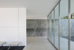 Mies Missing Materiality