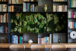 Rekonstrukce řadového domu u letiště, No Architects