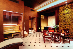 Bio sauna a parní kabina TAO v ájurvédském centru Ananda Spa v Praze. Možnost volby bylinné sauny a aromaterapie umožňuje masážnímu centru obohatit nabídku relaxačních procedur. 