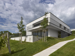 Vila se otevírá do zahrady s vinohradem. (Vila zasazená do krajiny vinohradu; Atelier RAW)