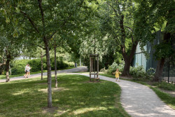 Přibyly nové mlatové cesty. (Obnova Riegrových sadů, Matouš Jebavý)