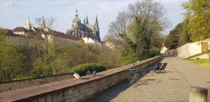 Cílem přírodovědného výzkumu zahrad Pražského hradu není vytvořit neopečovávanou džungli, ale pestrou a zajímavou přírodu.