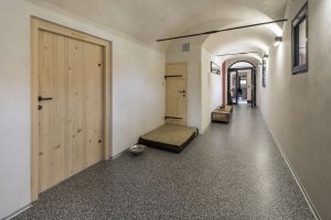Rekonstrukce tvrze Krassa v Chroustné, David Pospíšil