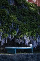 Baxter kolekce Dharma