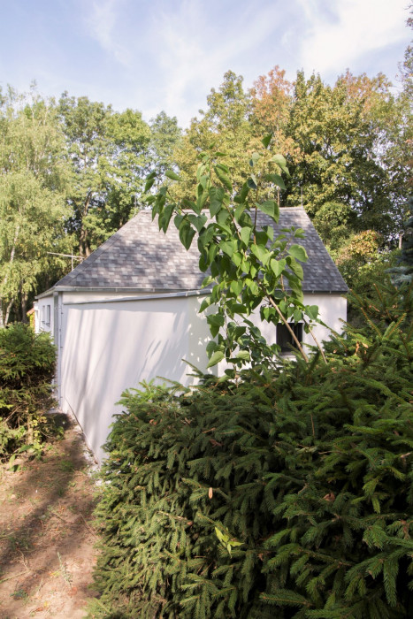 Dům za humny, DDAANN