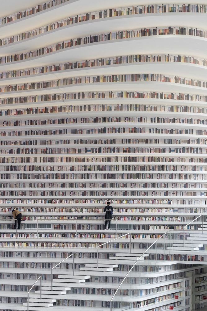 Knihovna Binhai, MVRDV
