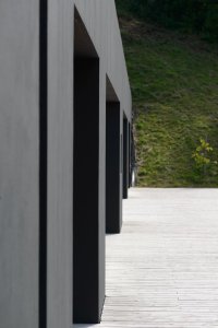 Vila P, Bergmeisterwolf