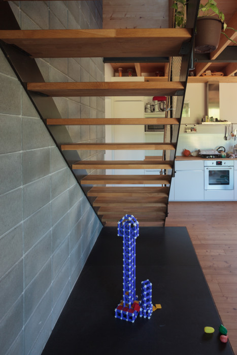 Rodinný dům v Letech, Mimosa architekti