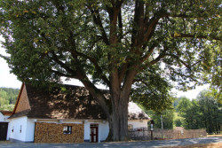 Chalupa pod lípou v Krásném zrekonstruovaná Markem Štukhejlem