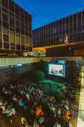 Letní kino v CAMPu.