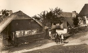 Archivní fotografie roubenky (Roubená chalupa Strašín)