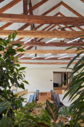 Projekt Nádvoří v Trnavě, Vallo Sadovsky architects