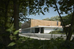 David Mateásko, Hala Borky v Kolíně