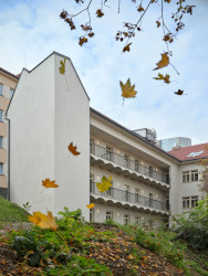 Bytový dům v Nuslích na Boleslavově ulici pochází z přelomu 19. a 20. století. (Rekonstrukce pavlačového domu v Praze-Nuslích, Plus One Architects) 