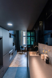 Vršovická dvojčata, Studio Reaktor: Skleněné příčky mezi kuchyní a koupelnou v obou prostorech propouští světlo do útrob půdorysu