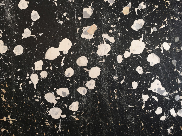 Bar Cobra v Praze od edit! architects