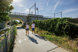 Do 20. května je možné přihlásit se do soutěžního dialogu pro budoucí podobu Rohanského a Libeňského ostrova