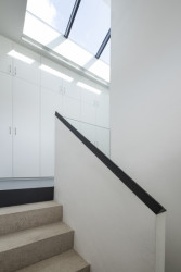 RD ve Zličíně, Rusina Frei