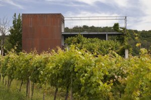 Winery Brič, Slovinsko – foto