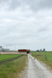 Komunitní zahrada Hage, studio Brendeland & Kristoffersen, inženýři Price a Myers, 2021